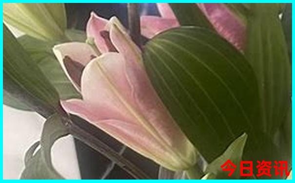 带孩子四日游去哪里比较好